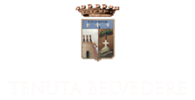 logo-belvedere-bw